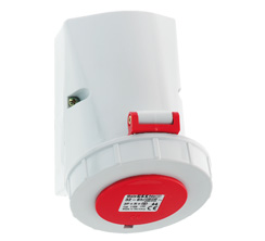 1713346452305785.jpg 1155.jpg