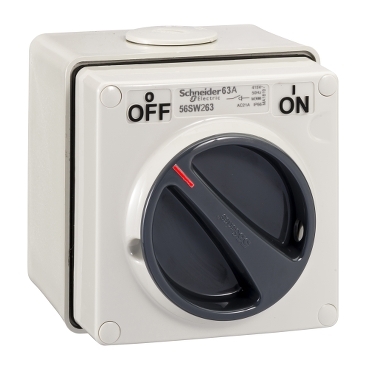 1713520982156774.jpg 56SW263-GY.JPG